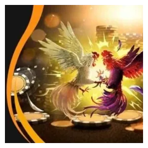 Cá cược bóng rổ