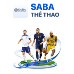 Cá cược thể thao 678win