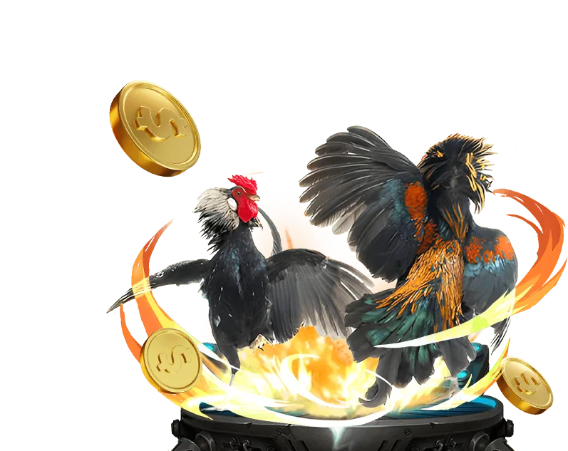 Ưu đãi VIP độc quyền 678win